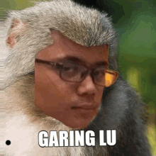 garing lu