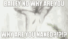 Bailey Naked Bailey GIF - Bailey Naked Bailey Naked GIFs