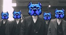 Dog Doginme GIF - Dog Doginme Crypto GIFs