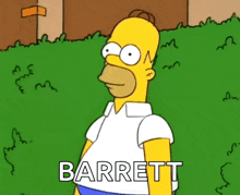 Homer Simpson Hide In Shrubs GIF
