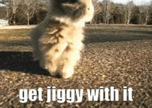 Get Jiggy With It Bunny Dance GIF - Get Jiggy With It Bunny Dance Get Jiggy Bunny GIFs