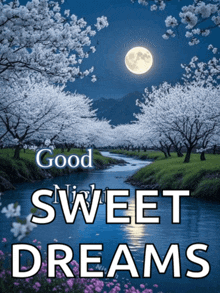 a poster that says good sweet dreams with a river in the background