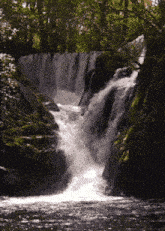 a waterfall is surrounded by trees and moss