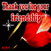 Thank You For Your Friendship GIF - Thank You For Your Friendship Sparkling GIFs