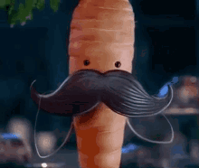 Aldi Kevinthecarrot GIF - Aldi Kevinthecarrot Carrot GIFs