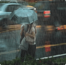 Raining Couple GIF - Raining Couple Umbrella GIFs