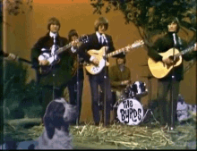 The Byrds Band GIF - The Byrds Band Play GIFs