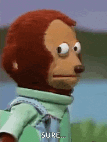 a stuffed monkey is standing in front of a body of water and says sure ...
