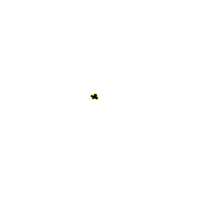 vespe rados is written in black and yellow letters