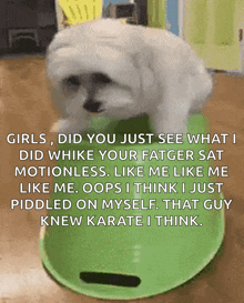 a white dog is sitting on top of a green bowl with the caption girls did you just see what