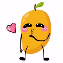 fruit orange