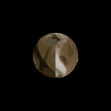 Dog Spinning GIF - Dog Spinning Earth And Moon GIFs