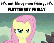 a picture of a pony with the words " it 's not filesystem friday it 's fluttershy friday "