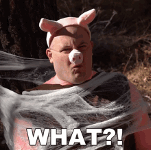 What Pig GIF - What Pig Nate Morse GIFs