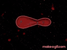Cellula Cells GIF - Cellula Cells Inside GIFs