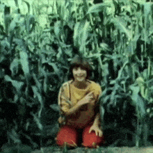 a young girl is kneeling in a field of corn