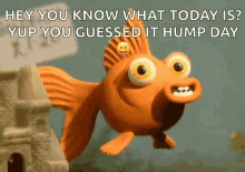 You Know It Fish GIF - You Know It Fish Wink GIFs