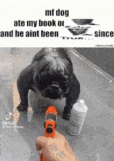 a black dog is standing next to a person holding a hose and a bottle of soap .