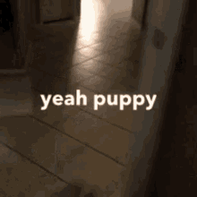 Puppy Love GIF - Puppy Love GIFs