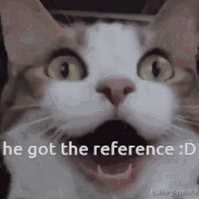 Reference He Got The Reference GIF - Reference He Got The Reference Adz GIFs