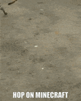 a picture of a hyena with the words hop on minecraft on the bottom