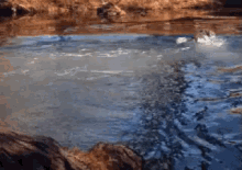 a person is swimming in a body of water with a rock in the background
