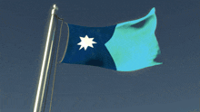 a blue and white flag with a star on it
