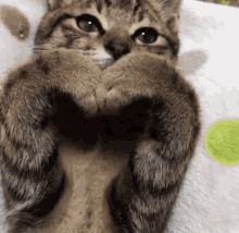 GIF