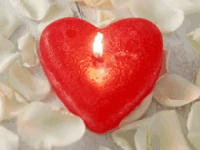 Heart Candle GIF