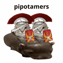 two cats wearing roman helmets and shields with the word pipotamers in the background