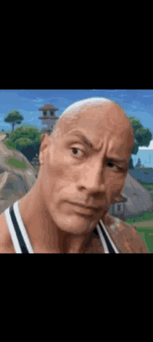 The Rock Face Meme - VoBss