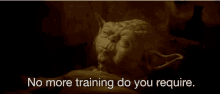 Yoda Training GIF