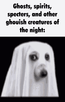ghost ghosts spirit spirits specter