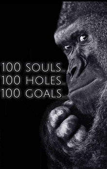 a gorilla thinking with the words 100 souls 100 holes 100 goals
