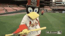 50 cardinals mascot drop baseball