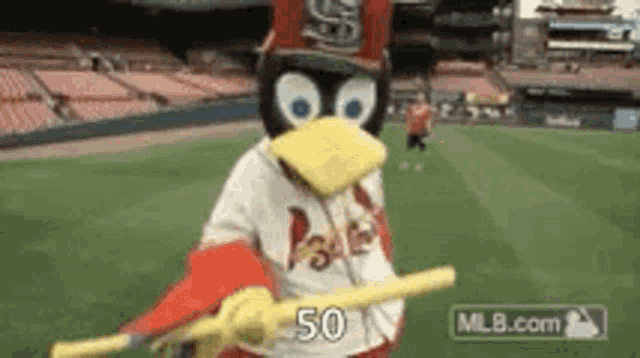 50 Cardinals GIF - 50 Cardinals Mascot - Discover & Share GIFs