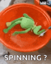 Kermit Spinning GIF - Kermit Spinning Laundry GIFs