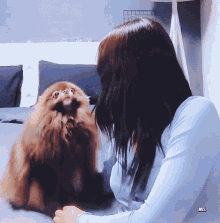 Jennie Kuma Jennie Pet GIF - Jennie Kuma Jennie Pet Jennie Puppy GIFs