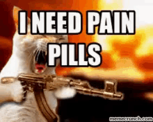 Pain Cat GIF - Pain Cat Angry GIFs