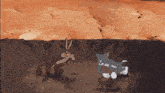 a coyote and a cat are standing next to each other in a cartoon