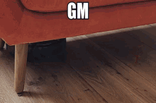 Gm Peepy GIF - Gm Peepy Fuzzpy GIFs
