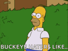 Ohio State Buckeyes Homer Simpsons GIF