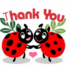 ladybug thank you