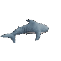 Shark Blahaj Sticker
