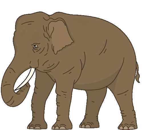 Elephant Asian Elephant Sticker - Elephant Asian Elephant Indian Elephant -  Discover & Share GIFs