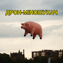 свинья свинка GIF - свинья свинка дрон GIFs