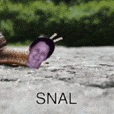Queen Cobra Jab Snail GIF - Queen Cobra Jab Snail Slither GIFs