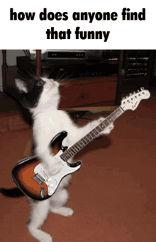 Bad To The Bone Cat GIF - Bad To The Bone Cat How Does Anyone Find That Funny GIFs