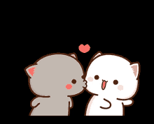 cat kiss