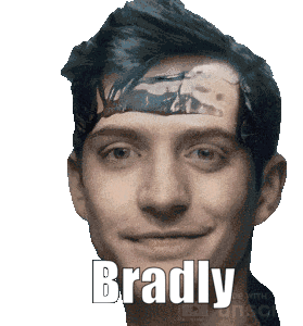 Bradly Asrar Sticker - Bradly Brad Asrar Stickers